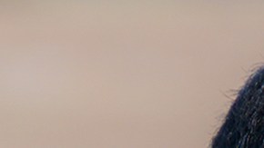 Sancar (Engin Akyürek) y Gediz (Uraz Kaygılaroğlu), los galanes de 'La Hija del Embajador'