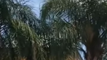 Hacienda Valentín Elizalde