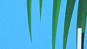 Martha Higareda rompe el silencio y niega romance con ex de Yanet García