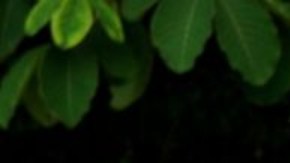 Pablo Rodríguez sigue buscando a su abuela y su madre.