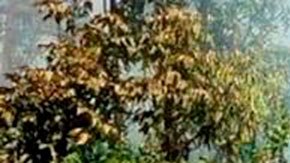 Filipinas accidente avión militar