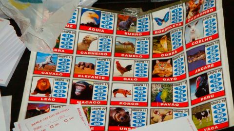 Loteria Brasil