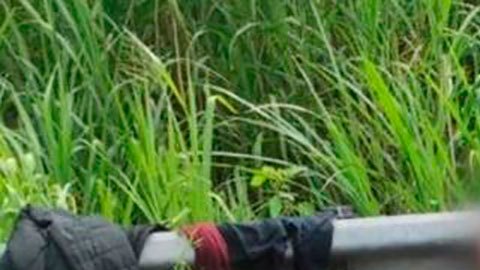 Niños migrantes en México
