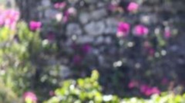 Hubo un gran despliegue de las fuerzas de seguridad para encontrar a los autores del magnicidio en Haití.