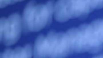 Moïse fue acribillado a balazos mientras dormía.