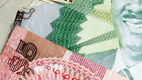 Dólar de arena en Bahamas