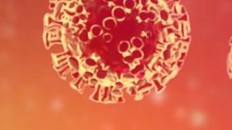 La nueva variante presenta 5 mutaciones, una de ellas inédita.