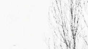 _119464956_hi068588690