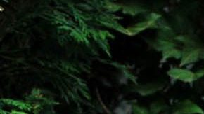 Paty Navidad niega estar contagiada de COVID-19.