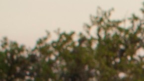 Foto de una Chevrolet Silverado 2014