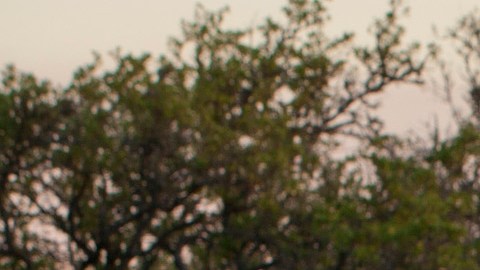 Foto de una Chevrolet Silverado 2014