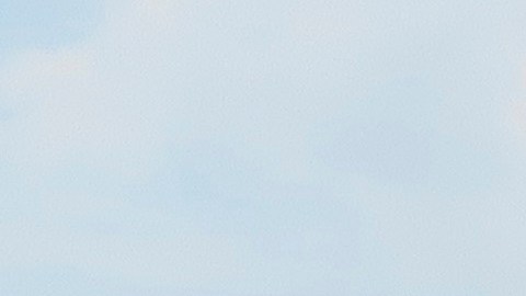 Algunos ciudadanos hicieron campaña a favor del "sí" en la consulta de este domingo,