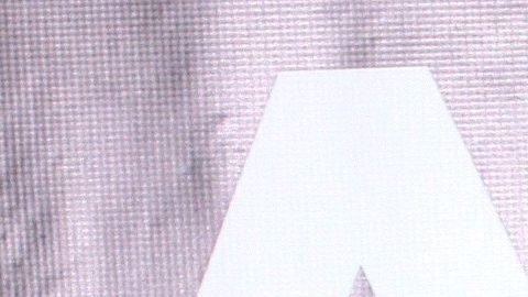 Arturo Carmona.