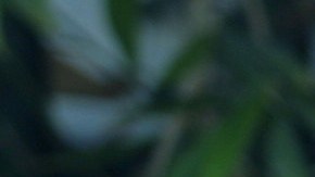 Adamari López y Ludwika Paleta recuerdan su amistad a 20 años de 'Amigas y Rivales'.