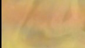 Hijos de Jorge Salinas se reúnen en Miami.