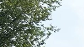 El senador Chuck Schumer participó en un evento organizado por ABIC frente el Capitolio.