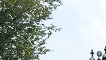 El senador Chuck Schumer participó en un evento organizado por ABIC frente el Capitolio.