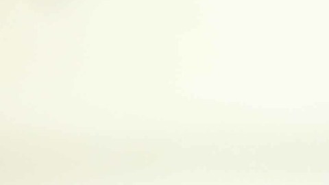 Juez gira orden de captura de Miguel Alemán Magnani por defraudación fiscal millonaria