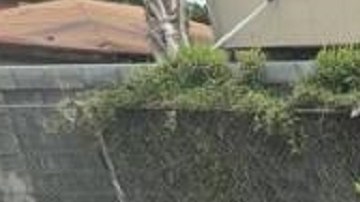 Este miércoles, el Sector de Laredo reportó la detención de unos 100 inmigrantes.