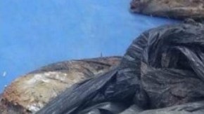 Bolsas con restos humanos en territorio del Mencho.