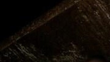 Las autoridades migratorias han interceptado camiones con decenas de indocumentados escondidos.