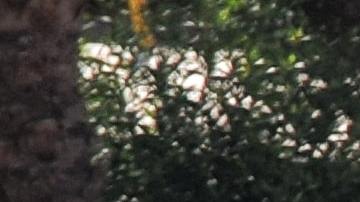 Foto de un estacionamiento con muchos autos