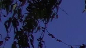 Albergue Pro Amore Dei en Tijuana.