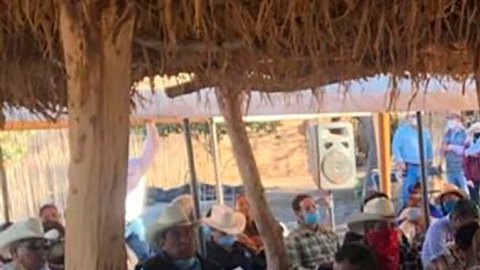 Yaquis