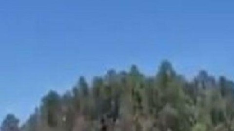 El Mayo Zambada habría mandado 100 sicarios para proteger plaza de Chihuahua de incursión del Mencho y el CJNG