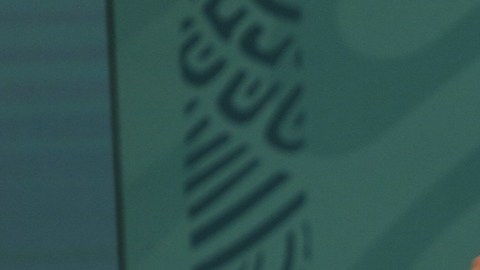 amlo