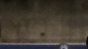 Estados Unidos golea a Martinica