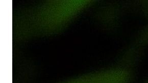 Las empresas en Estados Unidos que "obligan" a aplicarse la vacuna contra la COVID-19 para volver a las oficinas-GettyImages-1024855232.jpg