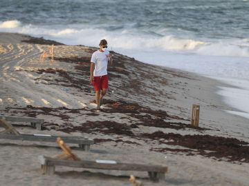 Marea Roja amenaza el verano en la Bahía de Tampa