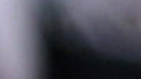 Enrique Peña Nieto compatibilidad