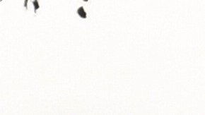 Floyd Mayweather Jr.