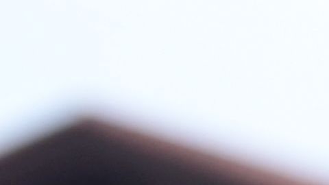 Walmart se posicionó en el comercio electrónico este 2021, se proyecta que el próximo año crecerán sus ventas online, lo que los puede posicionar como los líderes minoristas en todo el país.