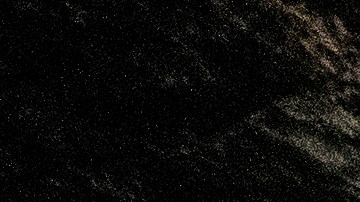 Las abejas mostraron gran agresividad luego que su colmena fue derribada. Foto de archivo.