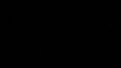 El técnico afirmó que Hector Moreno podría jugar luego de estar fuera por lesión.