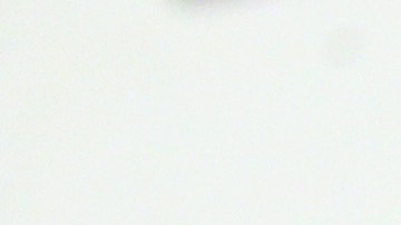 A un año de la muerte de Naya Rivera, su madre cuenta sobre cómo se enteró de la noticia