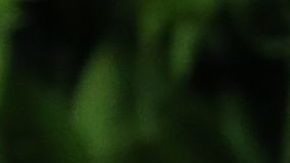 Hazel, la hija de Julia Roberts, deslumbra con su debut en la alfombra roja de Cannes