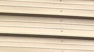 Costco y Tiffany logran acuerdo con demanda en joyería.