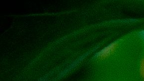 Entre las clases de WRD también se enseña a cómo hacer crecer frutas y verduras en tu jardín. / foto: getty.