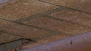 El cierre parcial de fronteras por la pandemia ha ocasionado pérdidas millonarias a pequeños comerciantes.