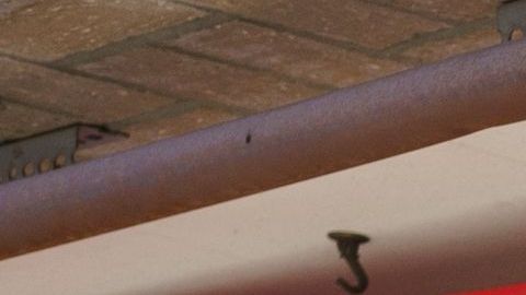 El cierre parcial de fronteras por la pandemia ha ocasionado pérdidas millonarias a pequeños comerciantes.