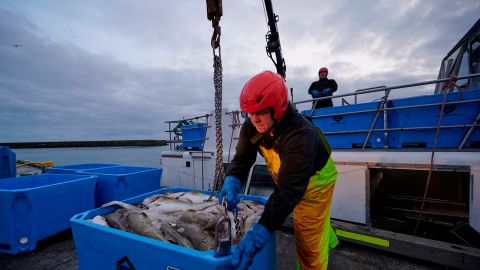 Islandia califica como “éxito” la implementación de semana laboral de cuatro días-GettyImages-1231491648.jpg