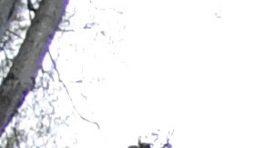 Medio Oeste de EE.UU. espera tormentas severas y la amenaza de un Derecho con fuertes vientos