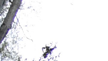 Medio Oeste de EE.UU. espera tormentas severas y la amenaza de un Derecho con fuertes vientos