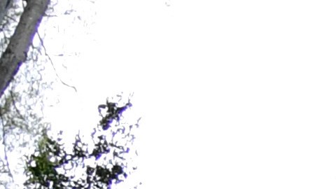 Medio Oeste de EE.UU. espera tormentas severas y la amenaza de un Derecho con fuertes vientos