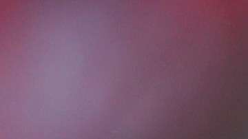 Trigres debuta el próximo domingo ante los Xolos de Tijuana.