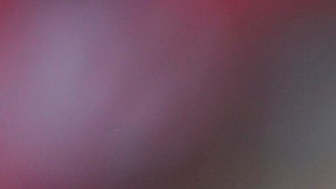Trigres debuta el próximo domingo ante los Xolos de Tijuana.